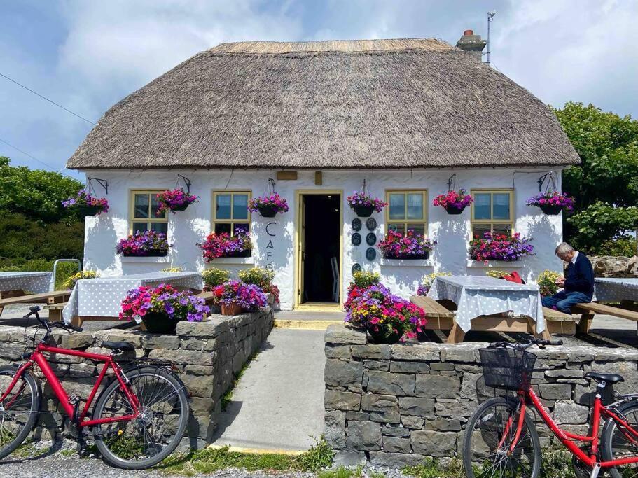 Irish Isle Oasis: Spacious 5-bedroom Retreat